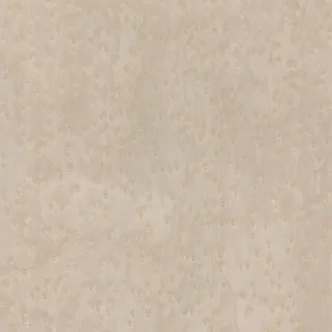Dune 12.02