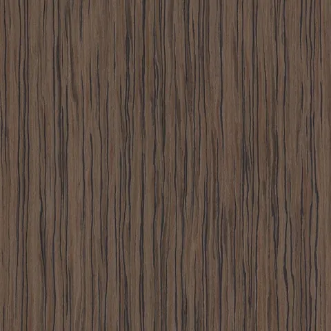 Japanese Cedar 18.46
