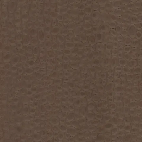 Peacock Brown 18.37