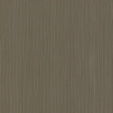 String Khaki 18.58