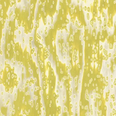 Woocle Yellow 18.35
