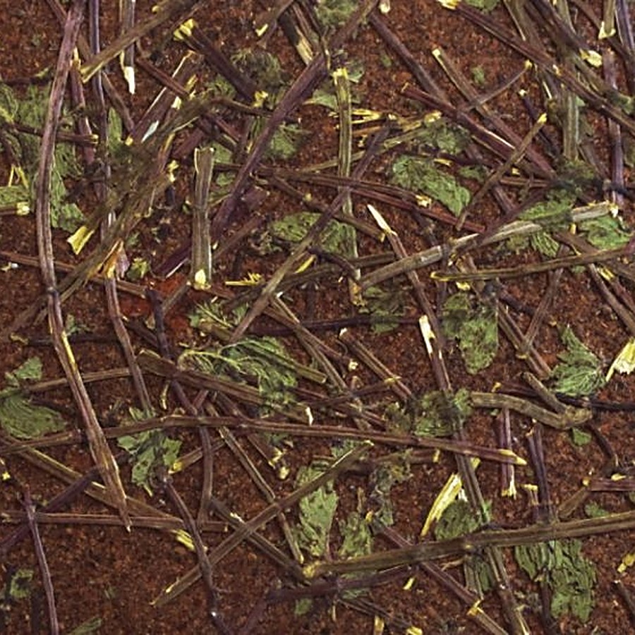 MINZKAKAU - Organoid danga