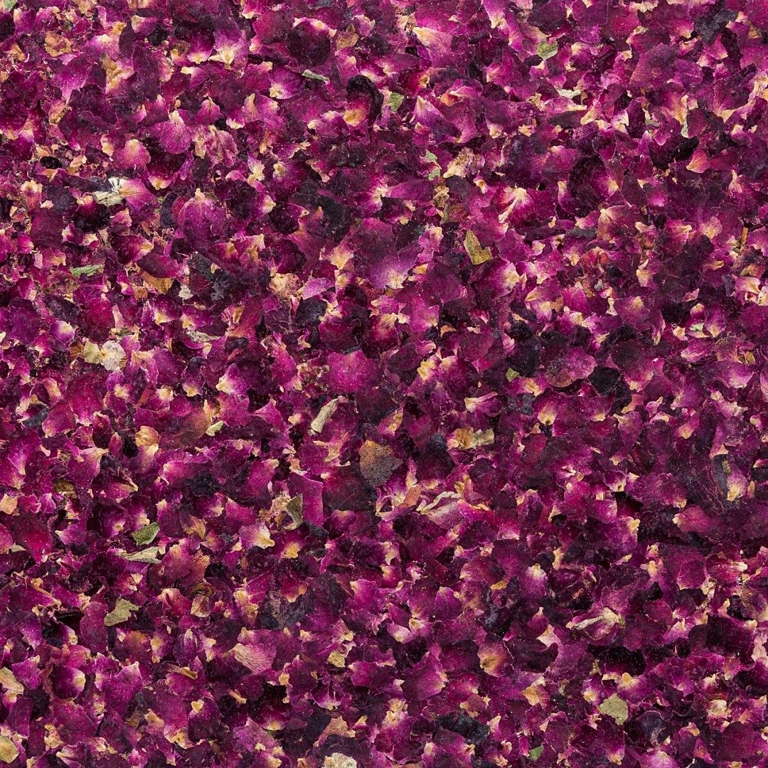 ROASNBLIATN - Organoid danga